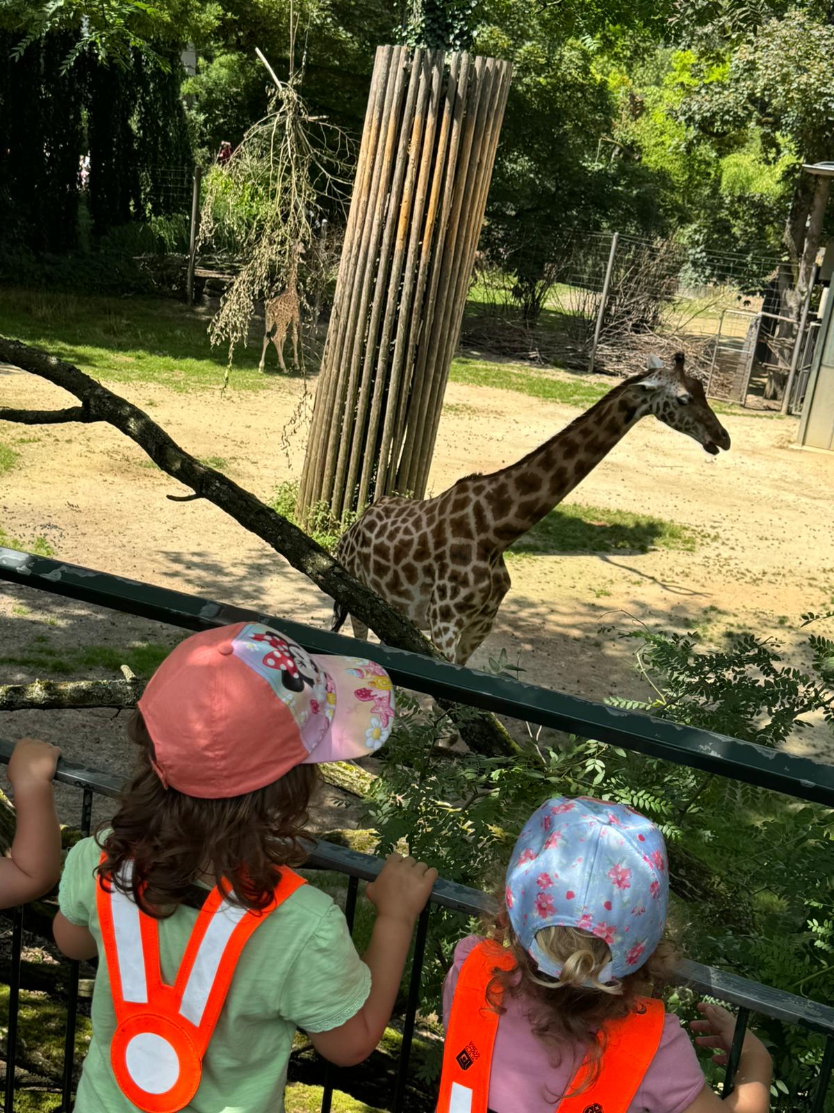 Die Kinder und Betreuerinnen der Kita Sonnenblueme hatten die Möglichkeit, einen aufregenden Tag im Zoo Basel zu verbringen.