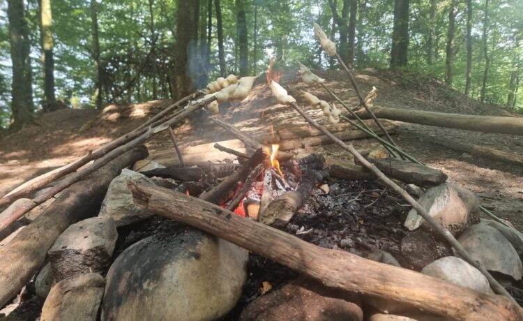 Waldtag