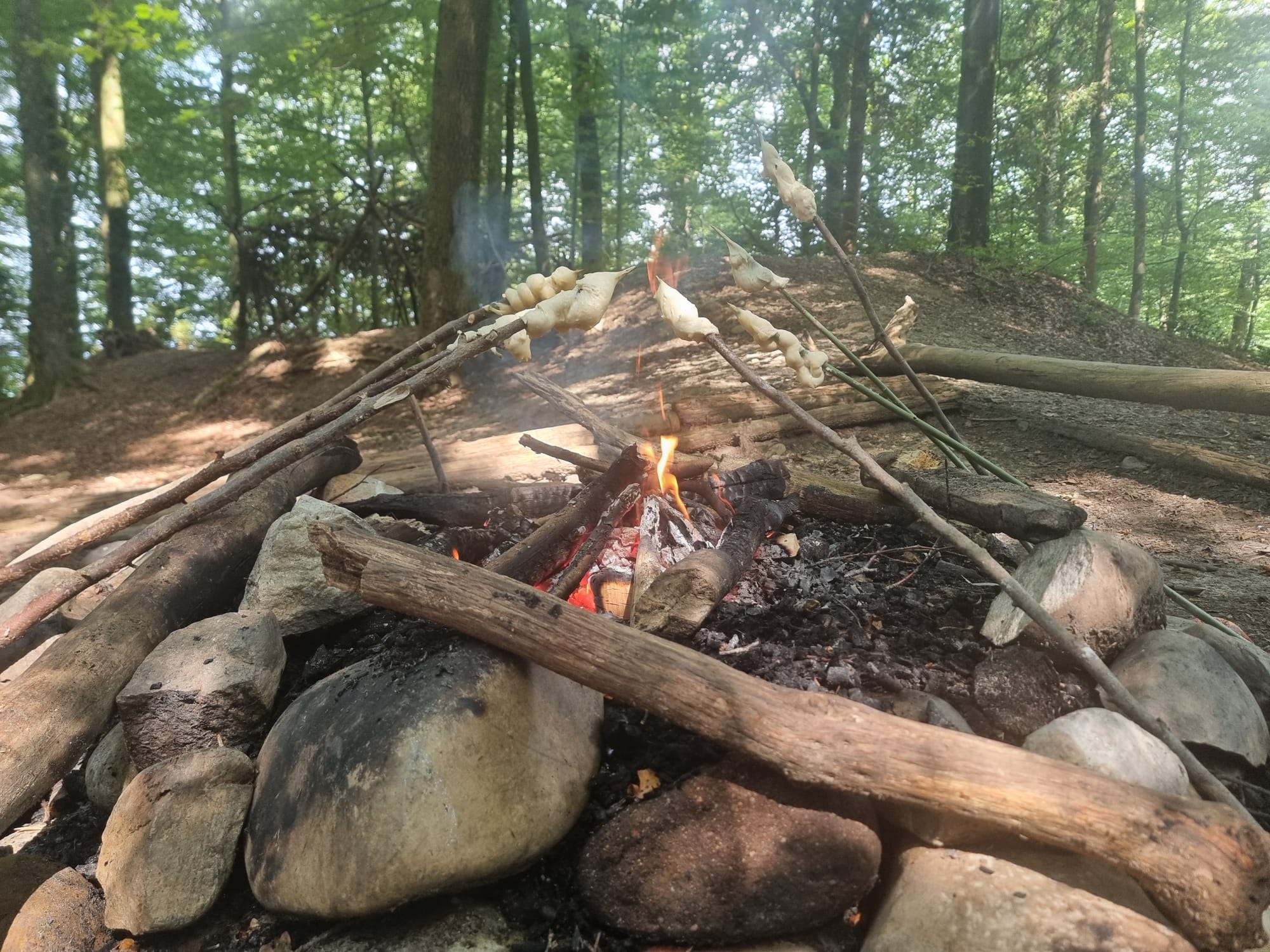 Am 29.08.2024 machten wir uns gemeinsam auf den Weg in den Wald! Alle freuten sich sehr als es gegen 9.00 Uhr los ging. 