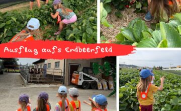 Ausflug aufs Erdbeerfeld An einem leicht bewölktem Tag machenten wir uns gemeinsam mit den Kindern auf den Weg zum Erdbeerfeld – das Wetter war ideal für unseren Ausflug.