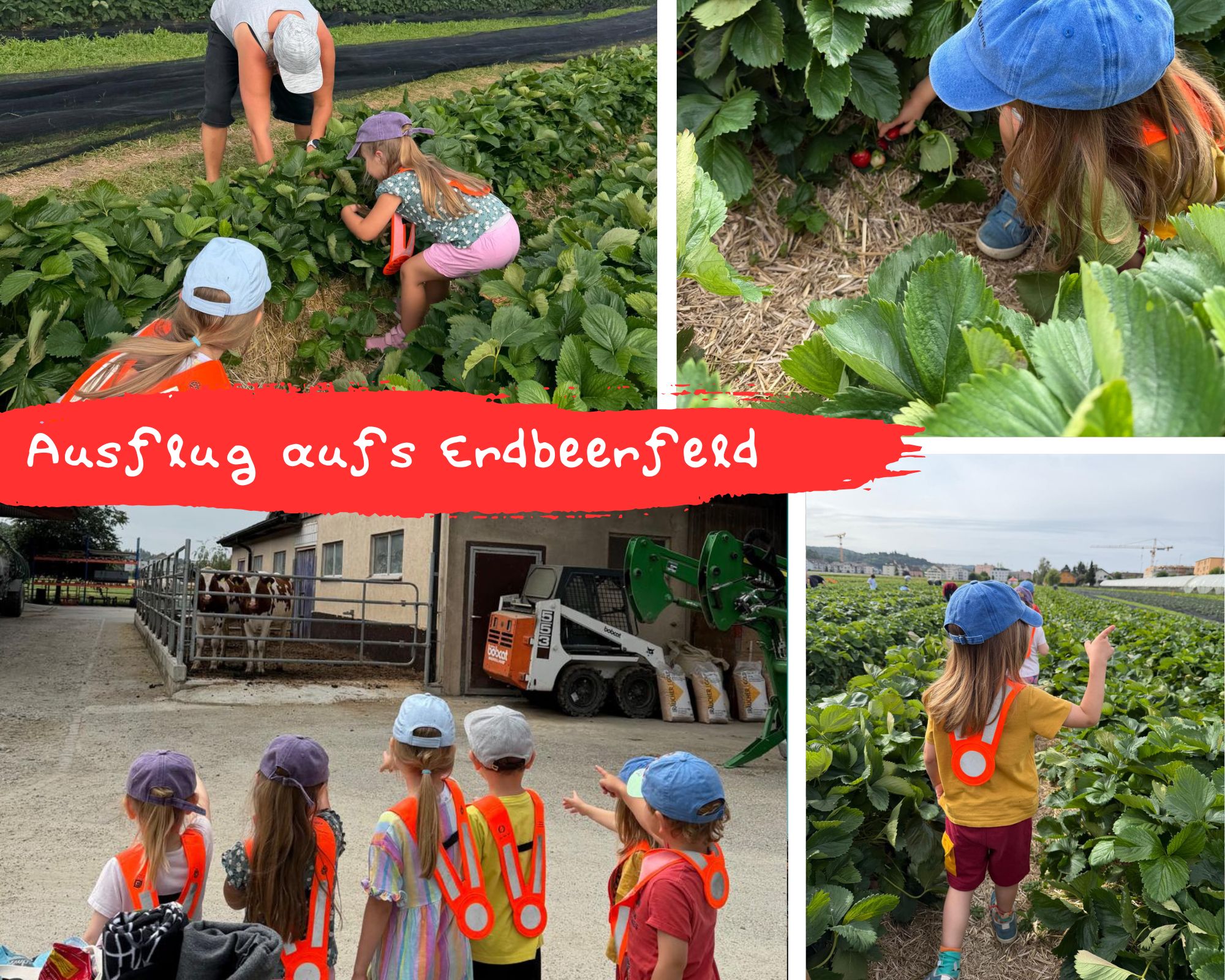 An einem leicht bewölktem Tag machenten wir uns gemeinsam mit den Kindern auf den Weg zum Erdbeerfeld – das Wetter war ideal für unseren Ausflug.